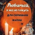 Любимый, я же не гожусь для семейной жизни — Айрон Мира