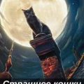 Страшнее кошки зверя нет — Шевченко Юлия