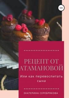 Рецепт от Атамановой, или Как перевоспитать сына — Серебрякова Екатерина