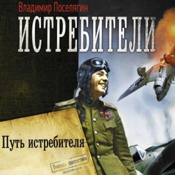 Путь истребителя - Поселягин Владимир