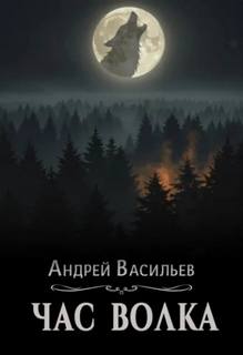 Ровнин. Книга 4. Час волка - Васильев Андрей